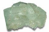 Lustrous Green Apophyllite Crystal Cluster - India #252434-1